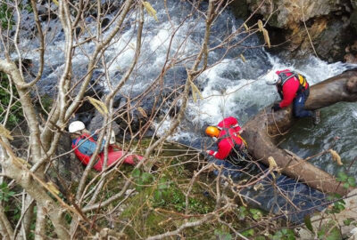 Trunk clearance with a chainsaw on water-based set